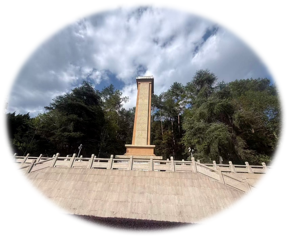 图片10.png